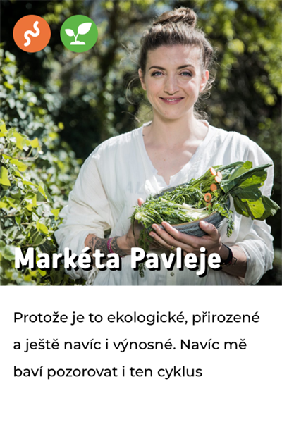 Markéta Pavleje